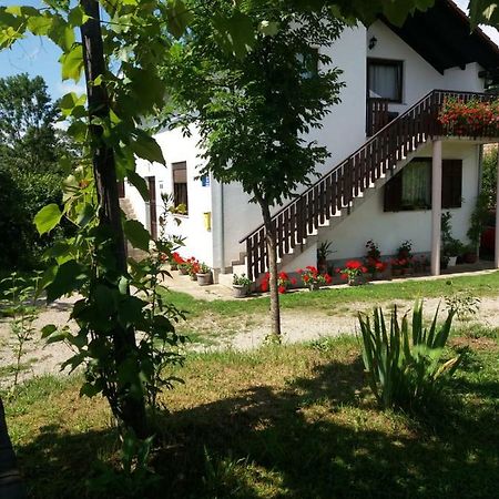 Apartment Manda Rakovica Luaran gambar