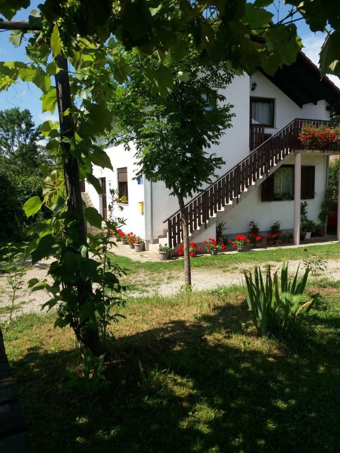 Apartment Manda Rakovica Luaran gambar